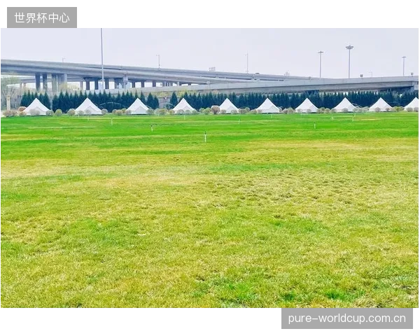 草坪看起来绿就等于完美吗？为何球员的真实运动反馈长期被排斥在评估体系之外？